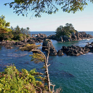 Ucluelet nature tours